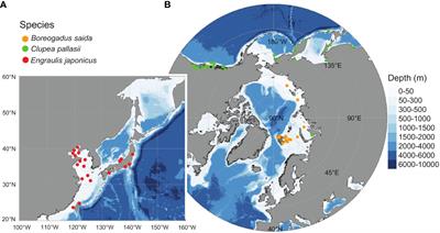 The untapped potential of seascape genomics in the North Pacific